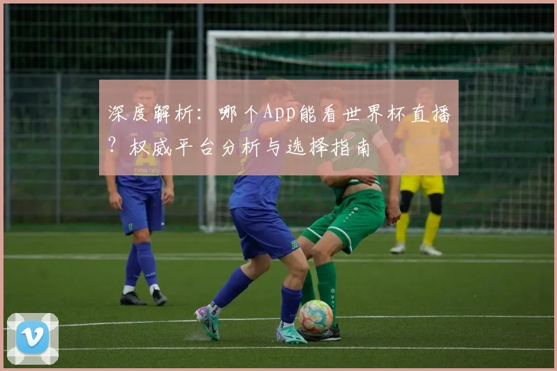 深度解析：哪个App能看世界杯直播？权威平台分析与选择指南