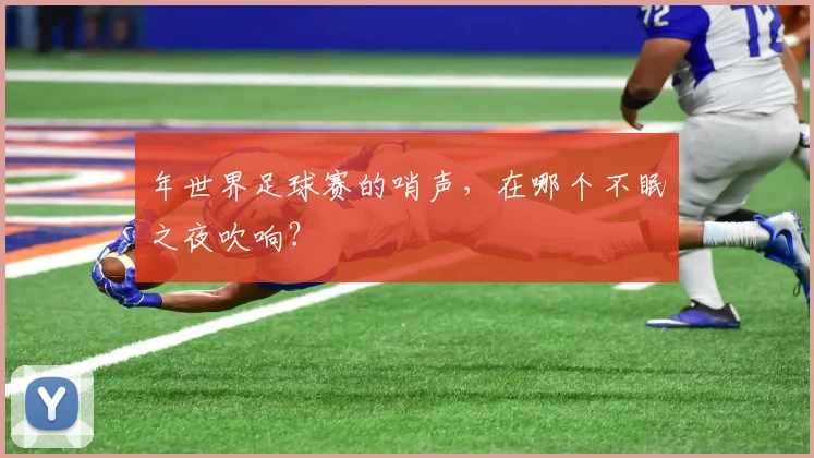 年世界足球赛的哨声，在哪个不眠之夜吹响？