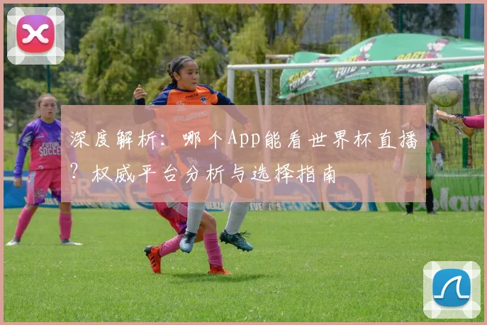深度解析：哪个App能看世界杯直播？权威平台分析与选择指南